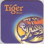 Tiger SG 031